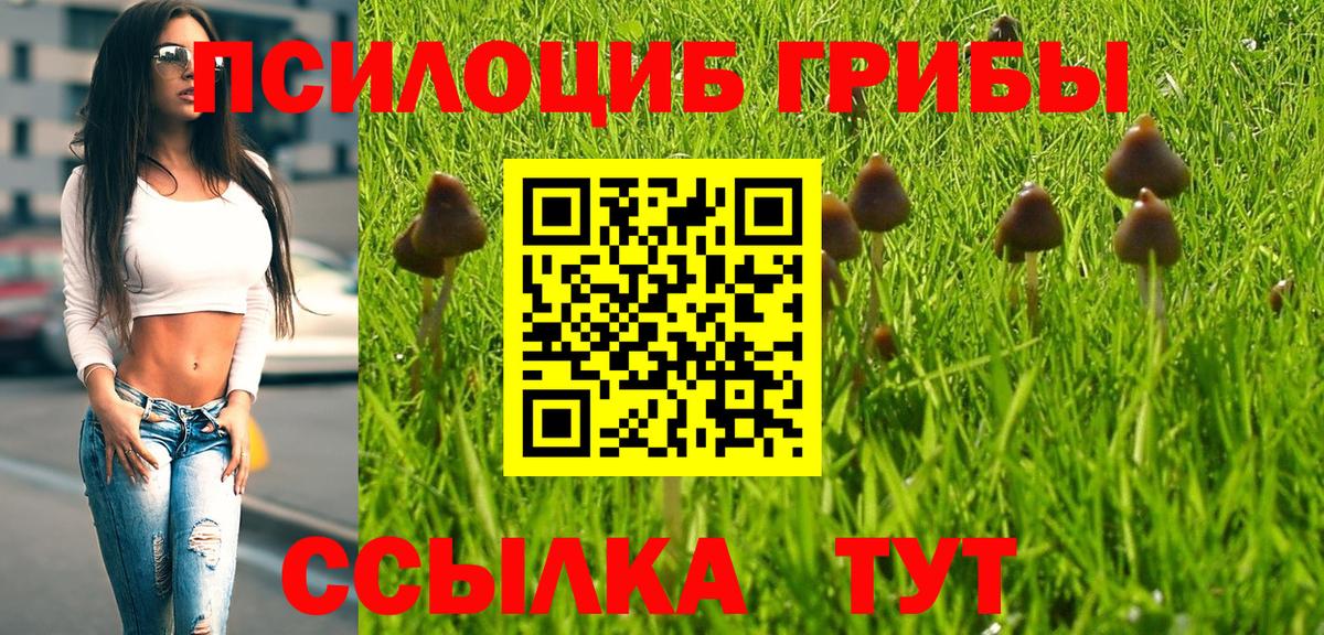 Псилоцибиновые грибы мицелий  Вход с VPN  Псилоцибиновые грибы Cubensis  Рязань 
