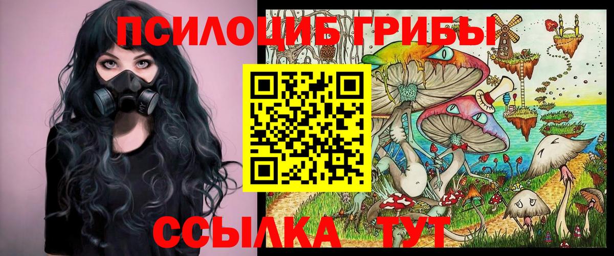 Галлюциногенные грибы прущие грибы Рязань